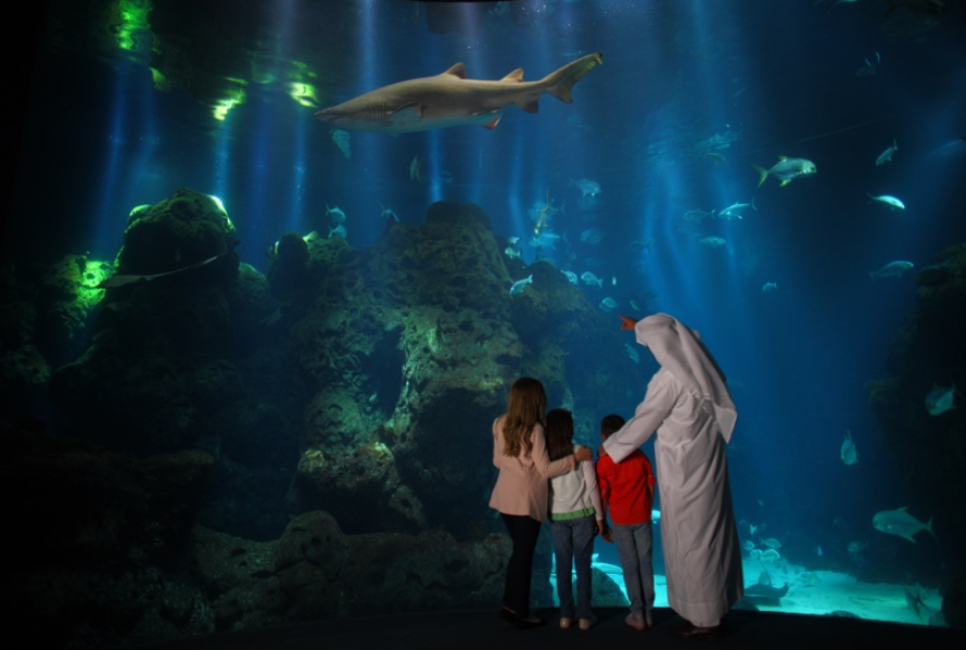 Kuwait Aquarium, Inside Scientific Center, Kuwait